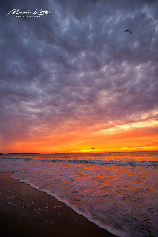 Fiery coastal sunset casting vibrant colors over calm ocean waters, dramatic seascape photography.